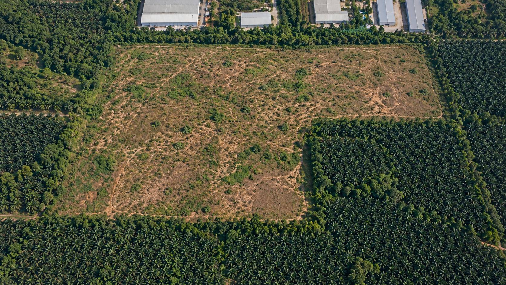 124 Acres Freehold Sungai Petani Industrial Land - photo 2