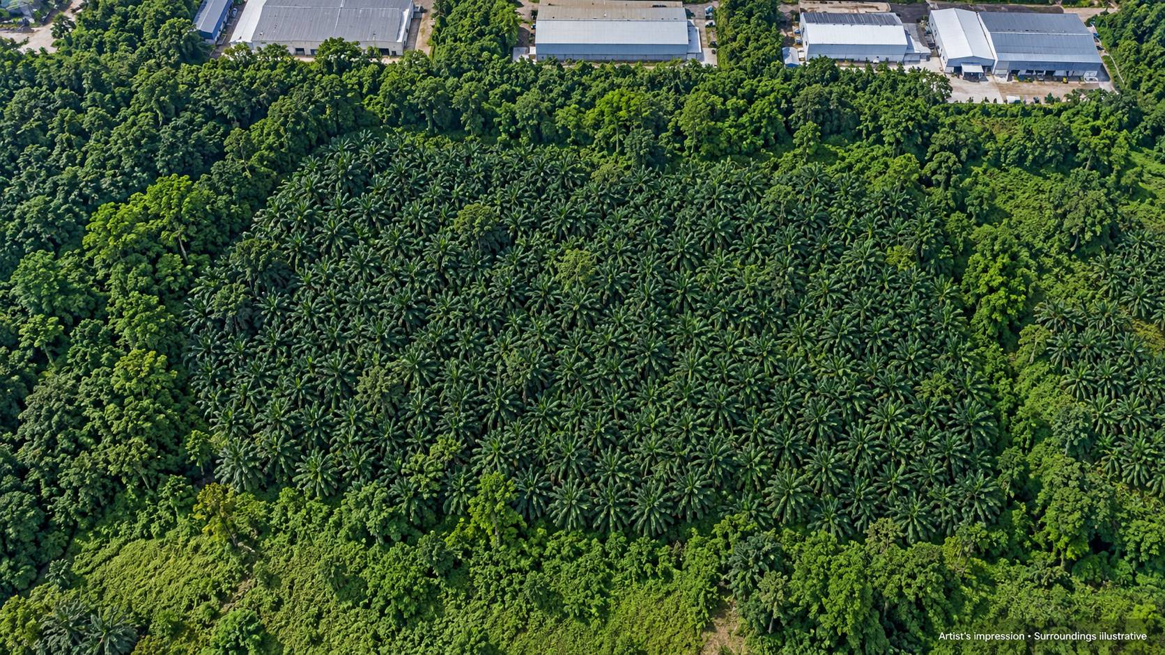 16 Acres Freehold Industrial Land For Sale