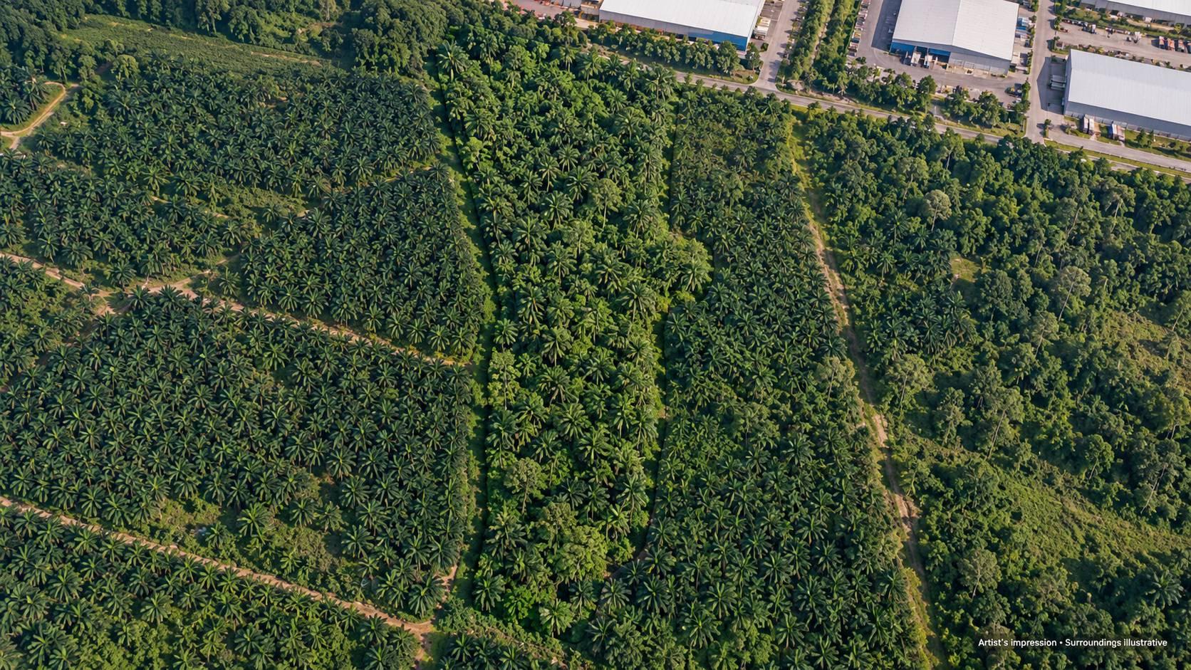 22 Acres Freehold Sungai Petani Industrial Land - photo 2