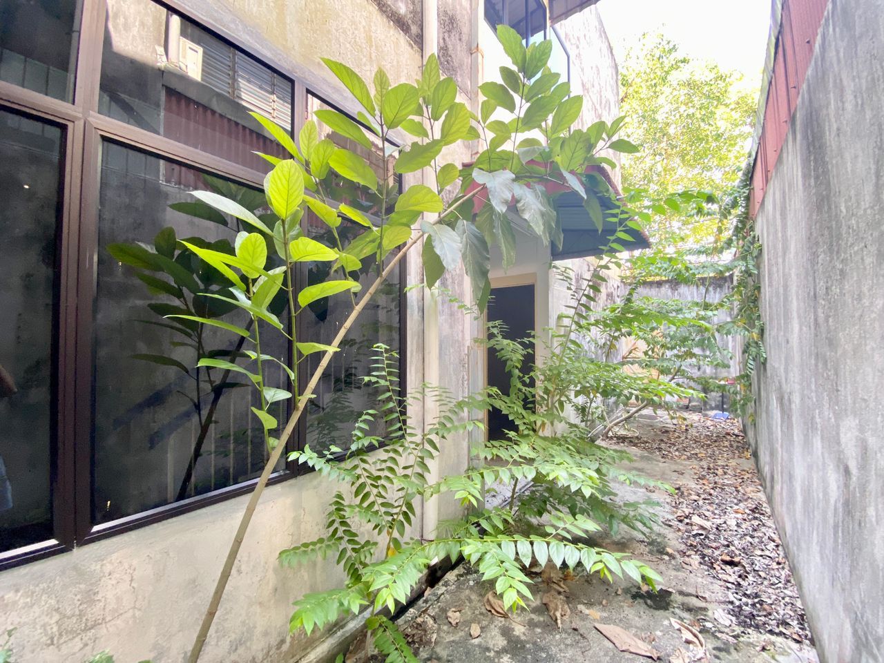 Georgetown Shoplot - photo 4