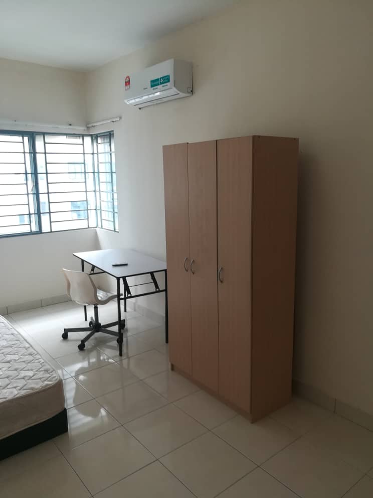 KOI KINRARA - photo 3