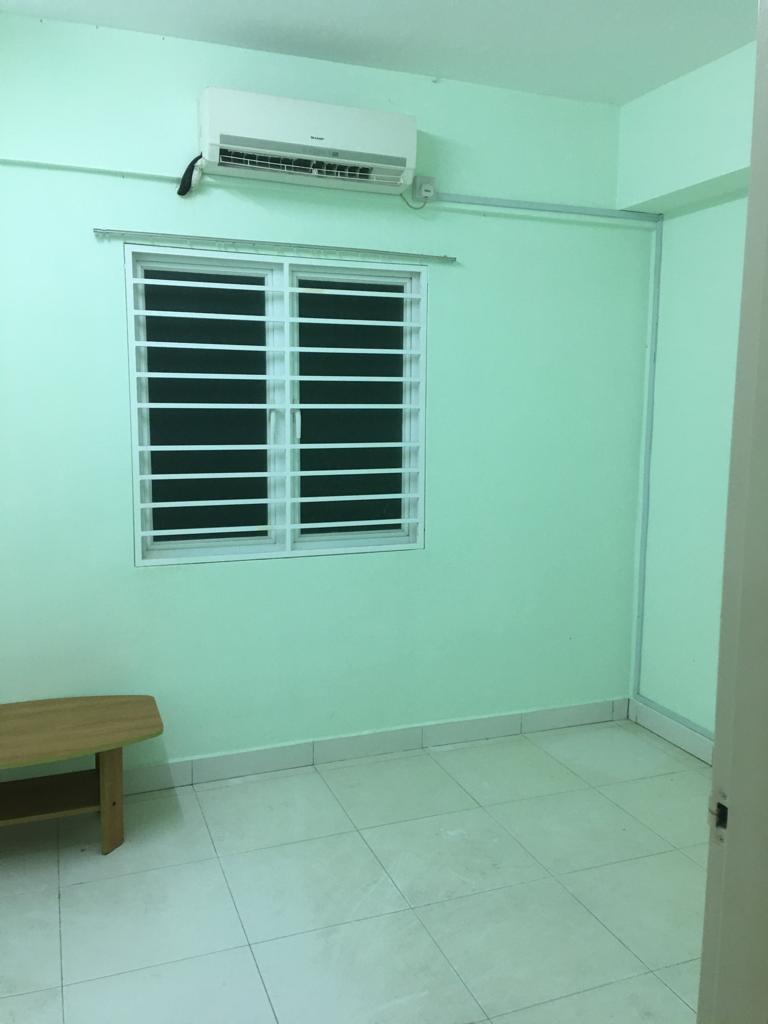 Casa tropika - photo 3