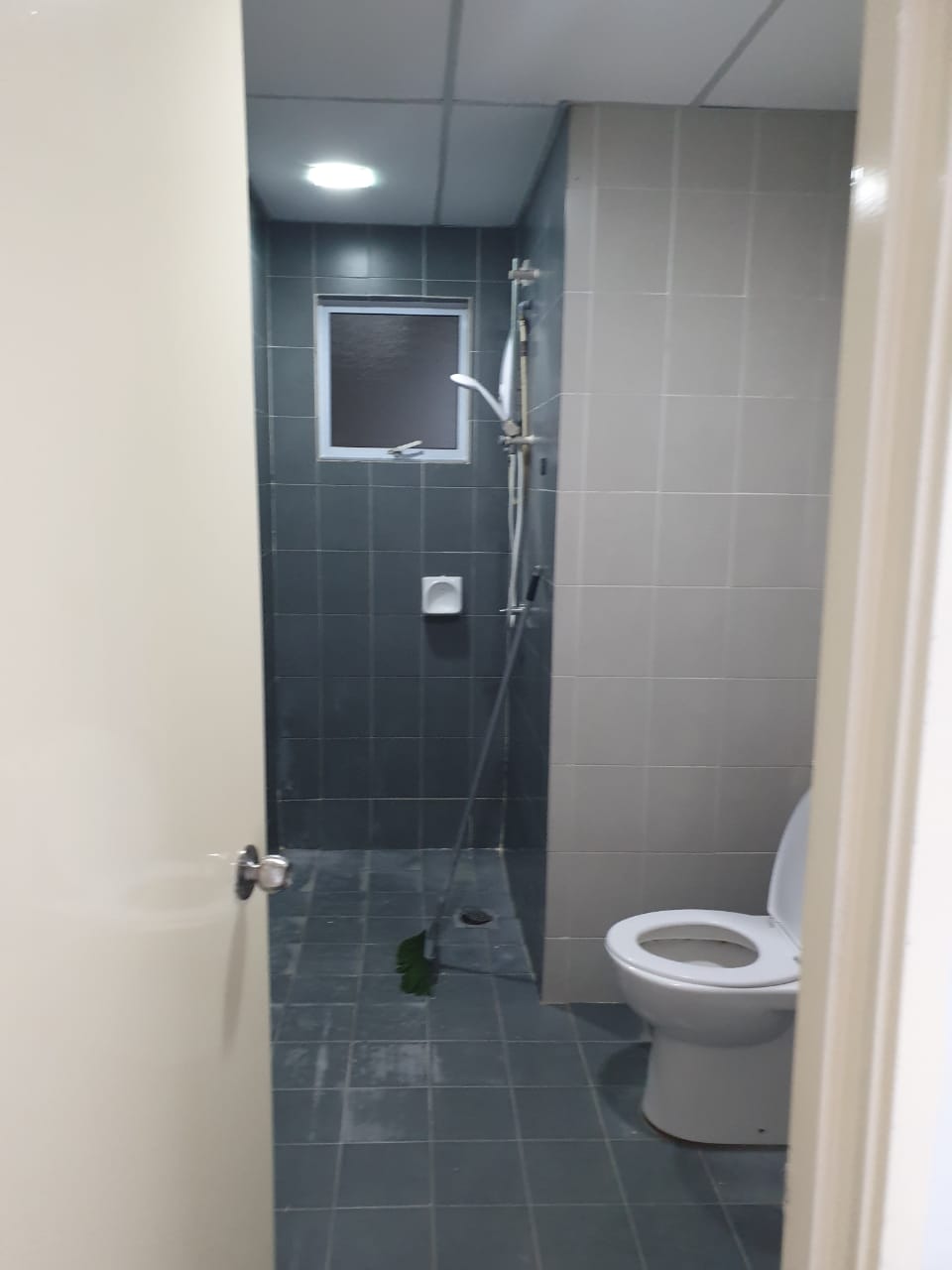 KOI KINRARA - photo 7