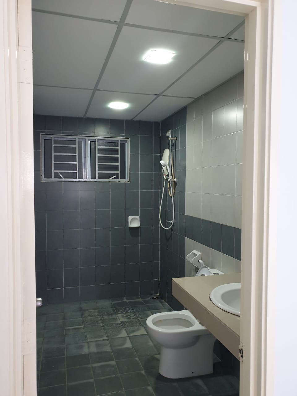 KOI KINRARA - photo 12