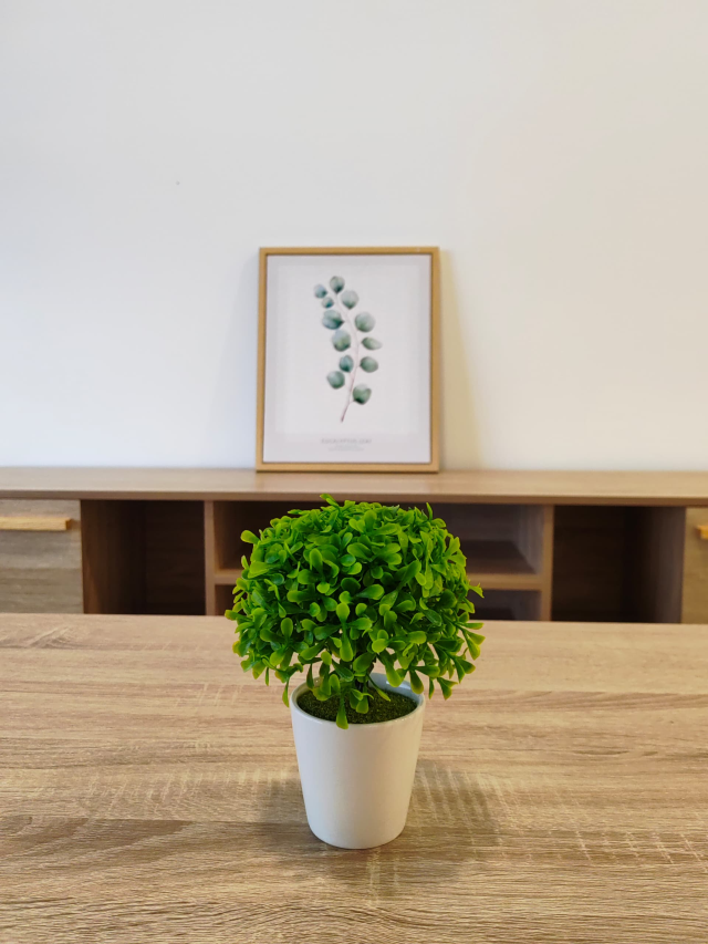 SKYLAKE RESIDENCE - photo 8