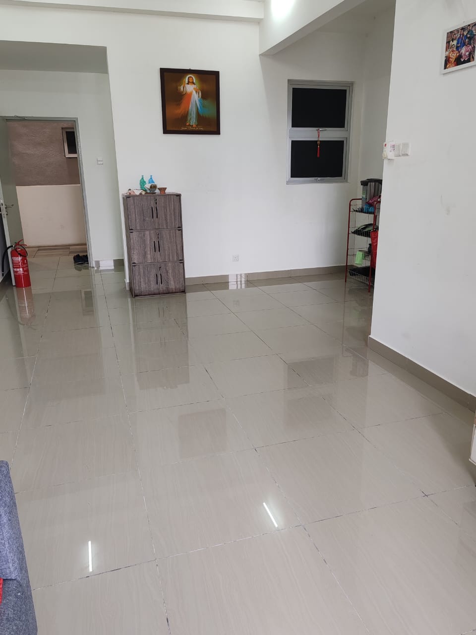 SKYLAKE RESIDENCE - photo 2