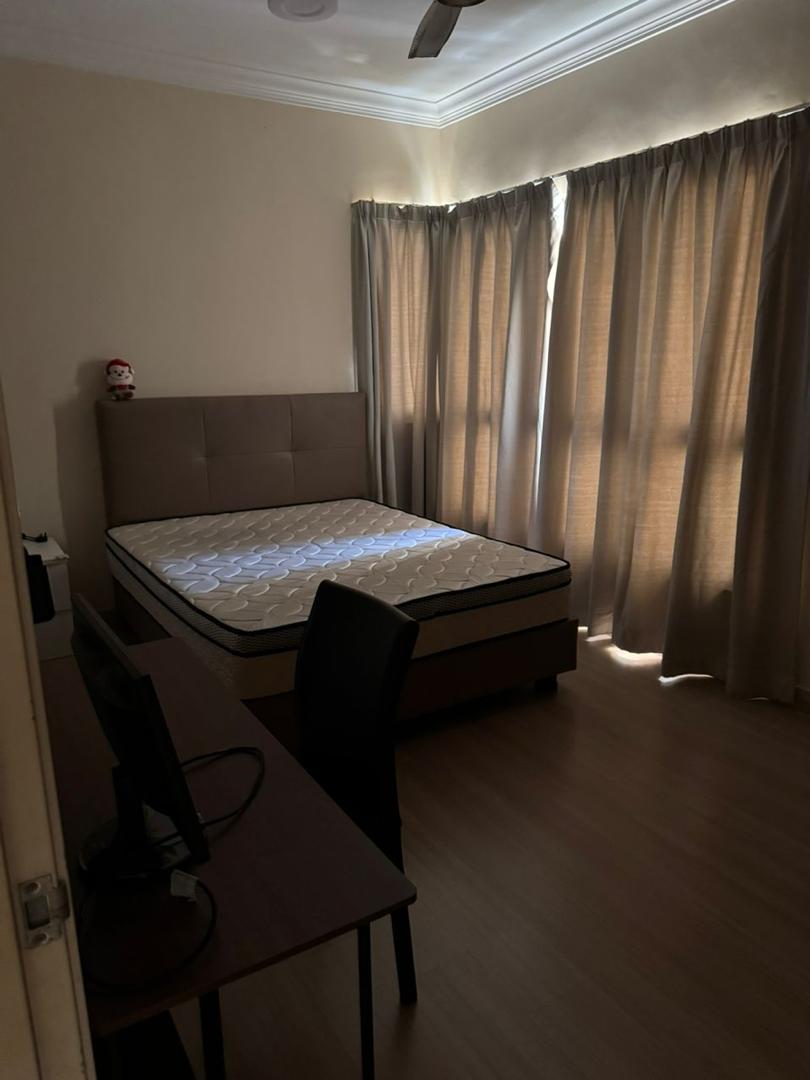 Covillea - photo 9