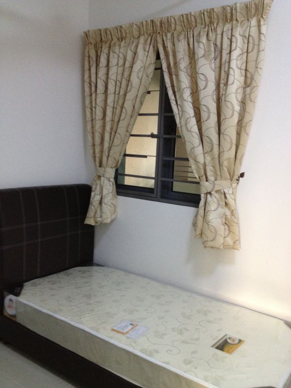 Covillea - photo 8