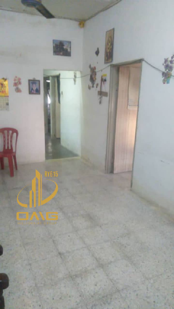 Single Storey  - photo 3
