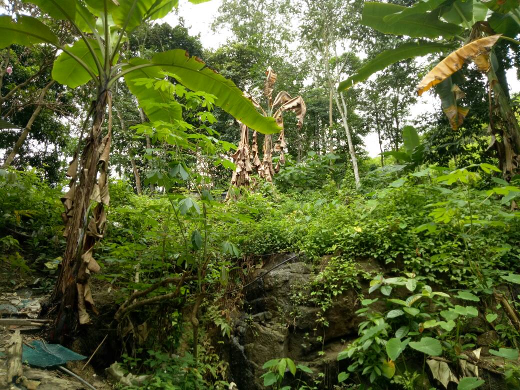 Commercial Land For Sale in Taman Melati, Setapak, - photo 5