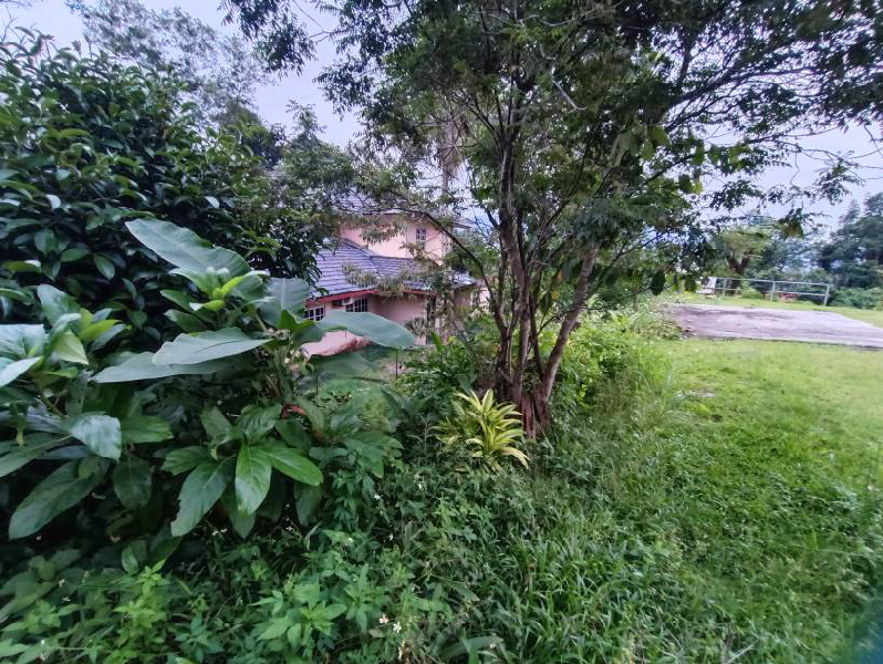 Tanah Lot Bungalow Untuk Dijual Di Kampung Kenanga - photo 12