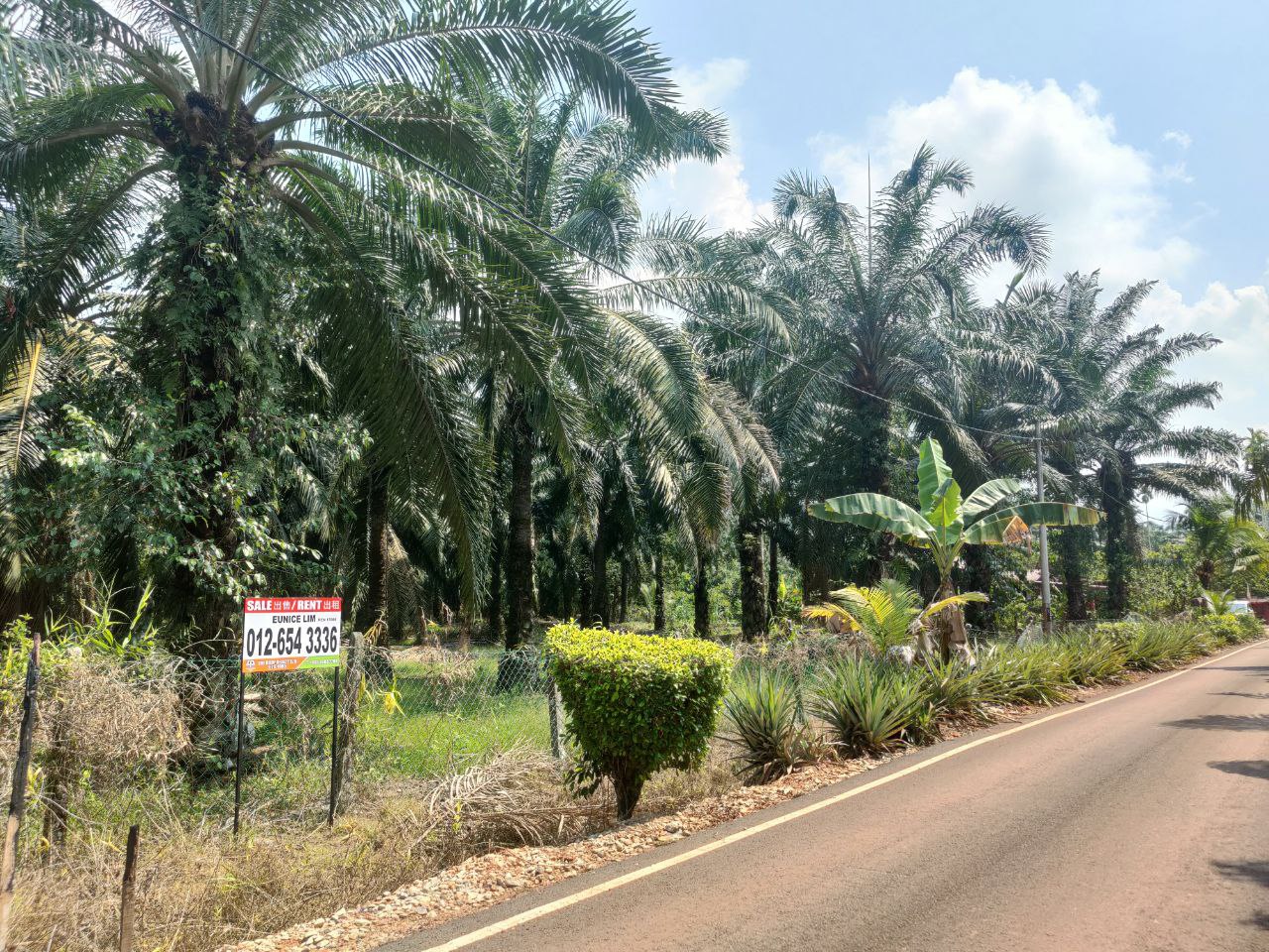 Agriculture Land Oil ...