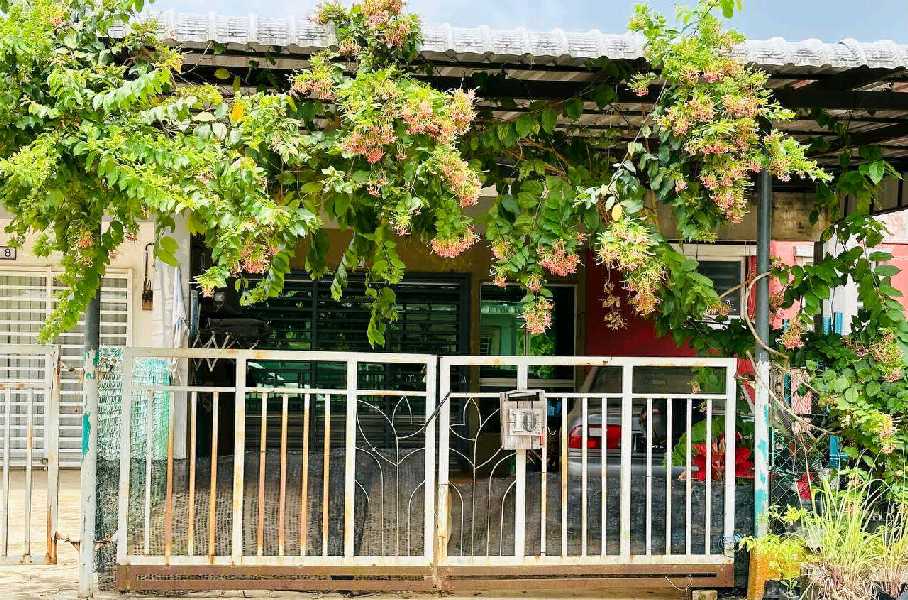 Kawasan luas belakang rumah. Teres Setingkat P2, Azalea 1, Kotasas, Kuantan - photo 2