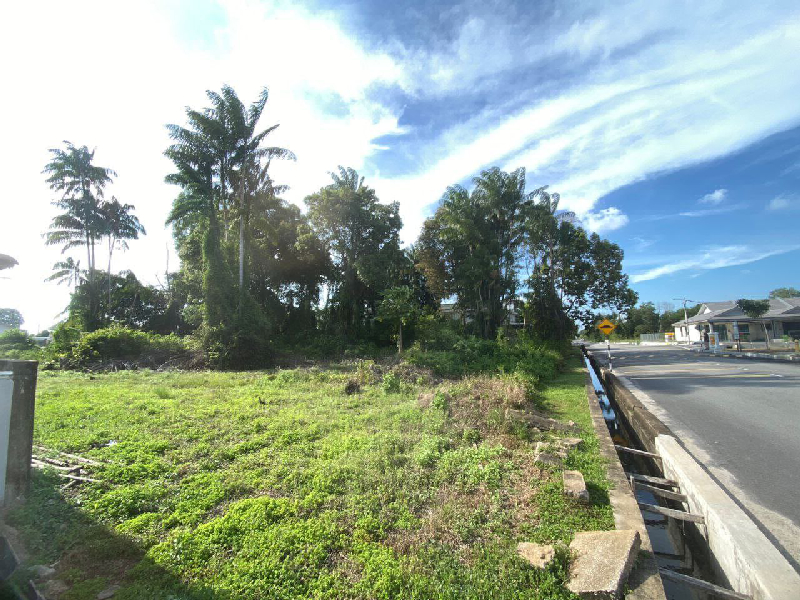 TANAH LOT BANGUNAN PERAMU, PEKAN - photo 8