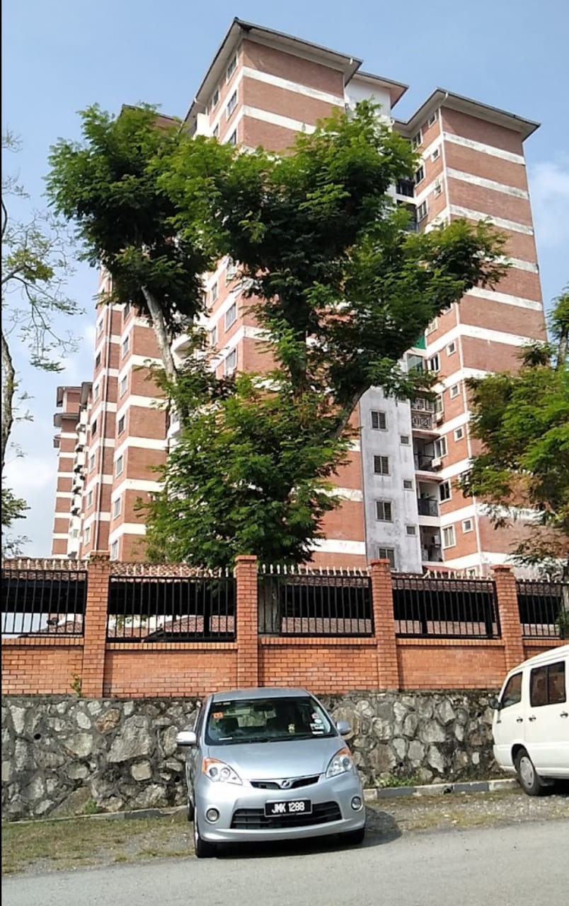 FOREST GREEN CONDO S ...