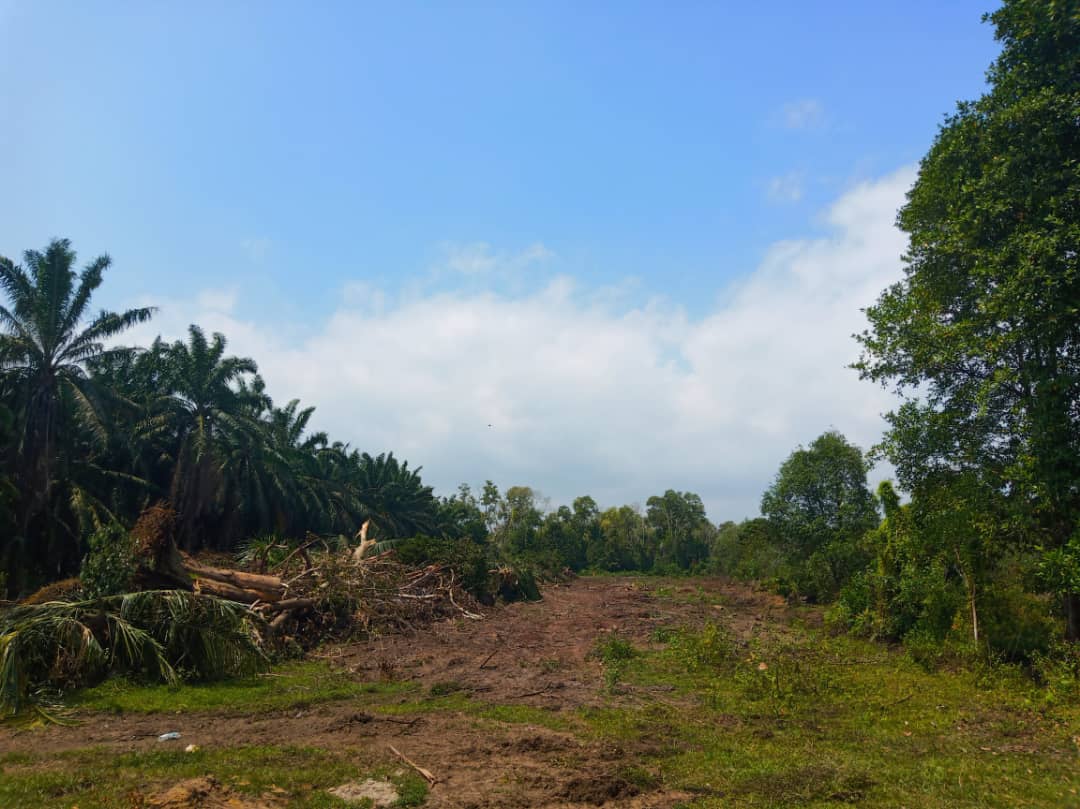 MURAH MURAH Lot Banglo Pantai Sepat - photo 8