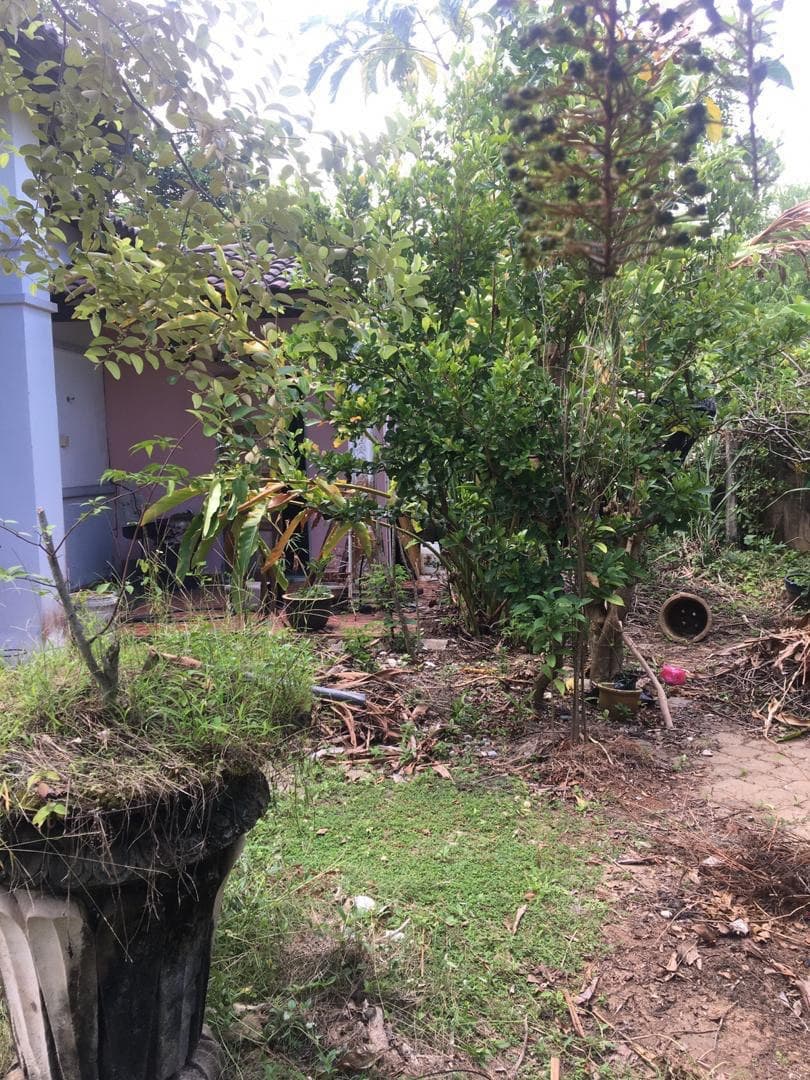 Single Storey Bungalow Pelindung Jaya FREEHOLD - photo 3