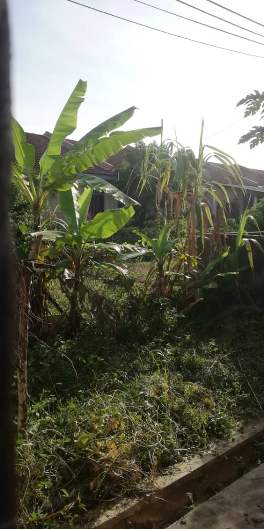 Teres Setingkat Taman Kempadang Makmur Kuantan - photo 7