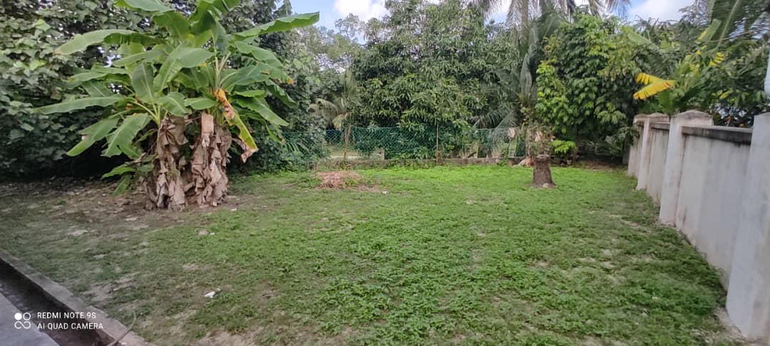 Bungalow Tanah Luas Kampung Besut Kemaman - photo 3