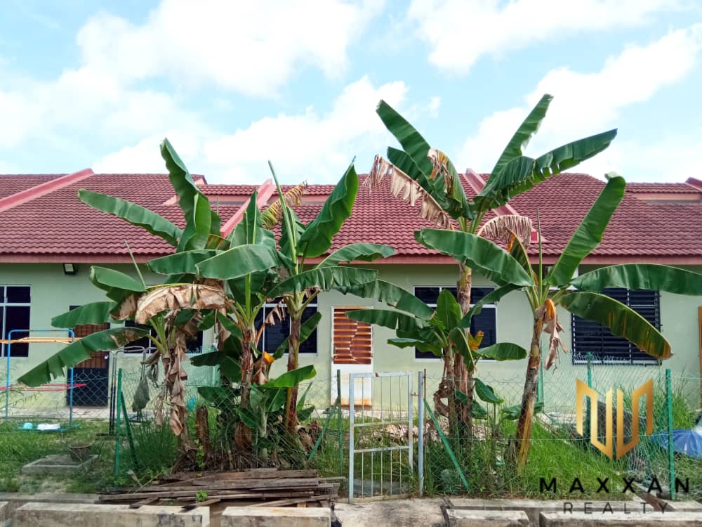 Single Storey Taman Pandan Damai Satu Kuantan - photo 12