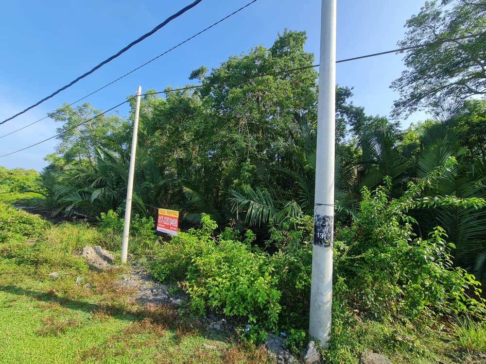 Tanah Pertanian Pasir Panjang Pekan Pahang