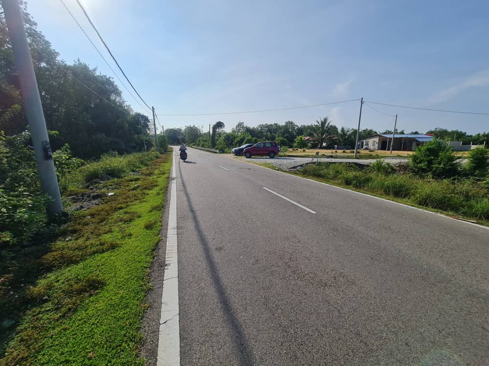 Tanah Pertanian Pasir Panjang Pekan Pahang - photo 6