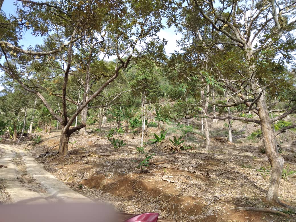 Tanah Perusahaan Perindustrian Mukim Tangkak Johor