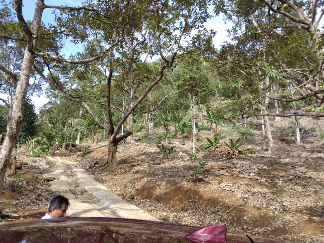 Tanah Perusahaan Perindustrian Mukim Tangkak Johor - photo 2