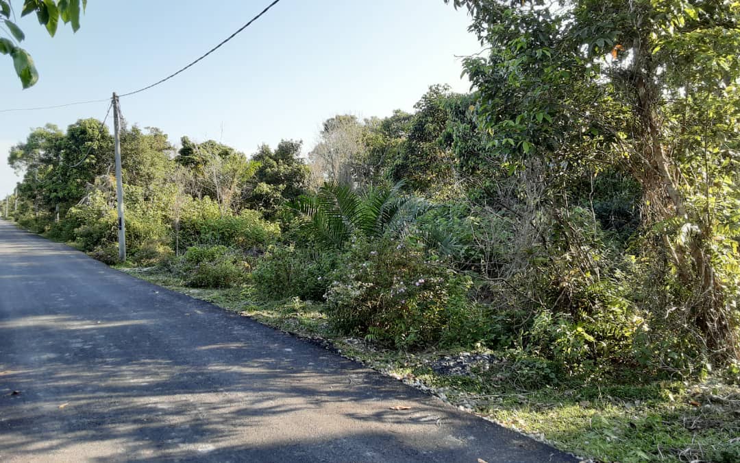 Tanah Permatang Lembing Pekan