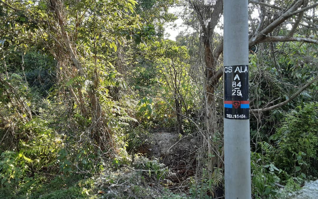 Tanah Permatang Lembing Pekan - photo 6