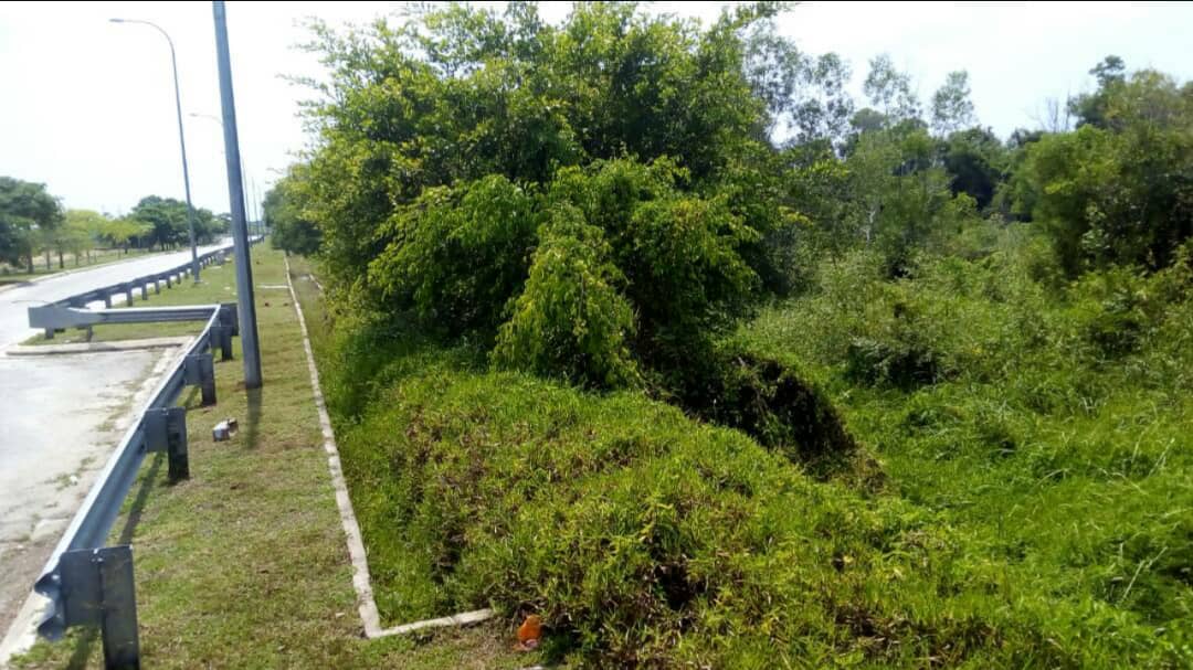Tanah Pertanian Kelat Rendang Pekan Pahang