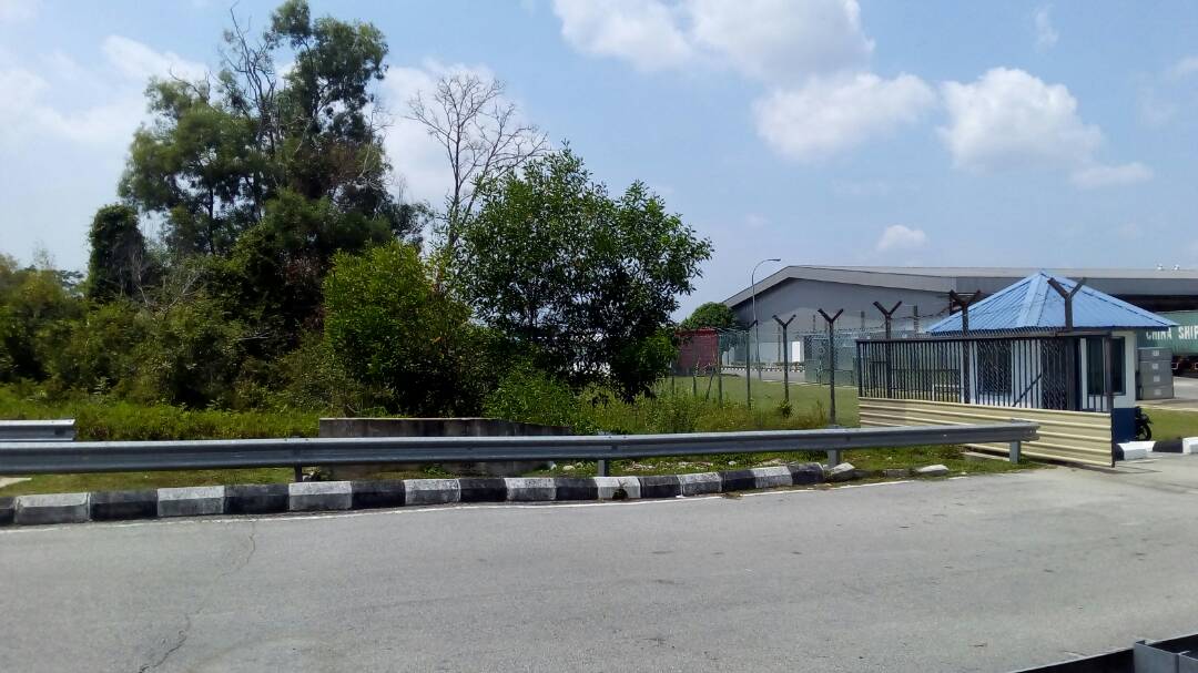 Tanah Pertanian Kelat Rendang Pekan Pahang - photo 3