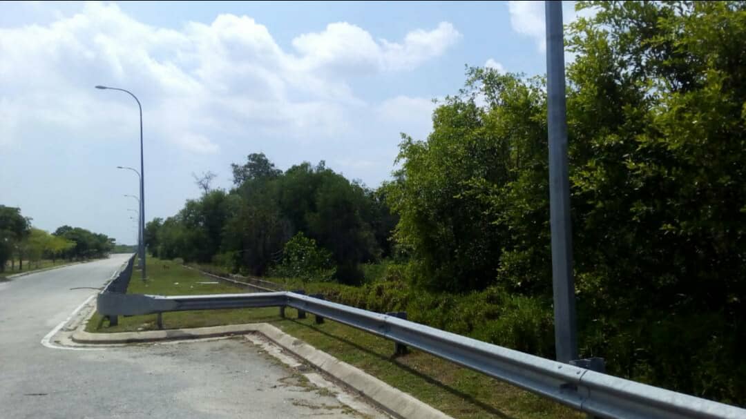 Tanah Pertanian Kelat Rendang Pekan Pahang - photo 4