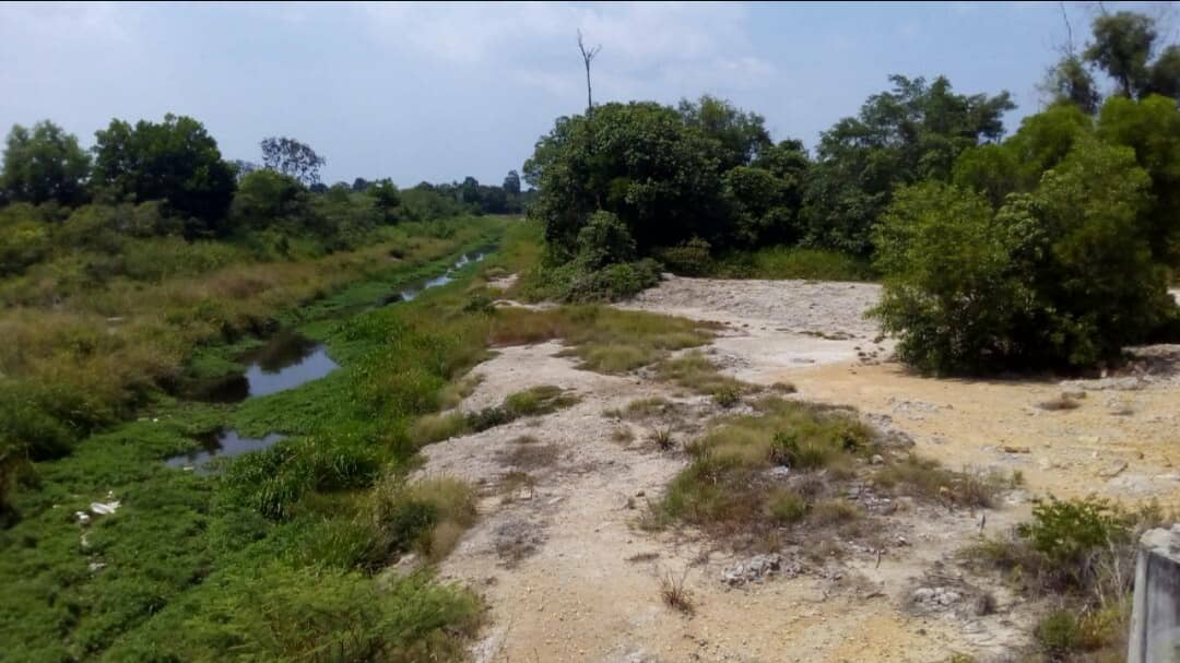 Tanah Pertanian Kelat Rendang Pekan Pahang - photo 5