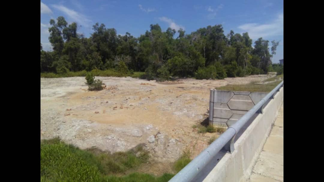 Tanah Pertanian Kelat Rendang Pekan Pahang - photo 7