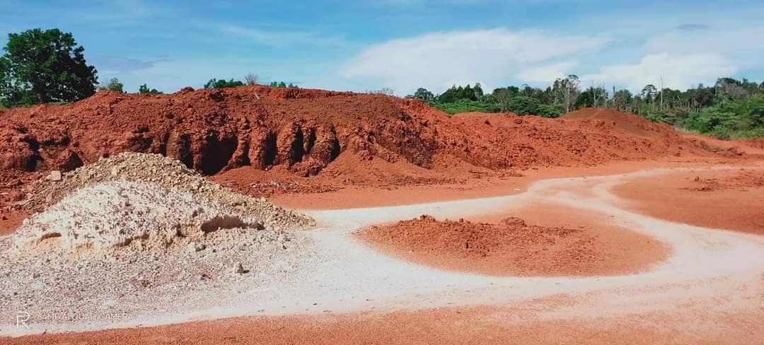 Tanah Pertanian Sungai Karang Kuantan - photo 6