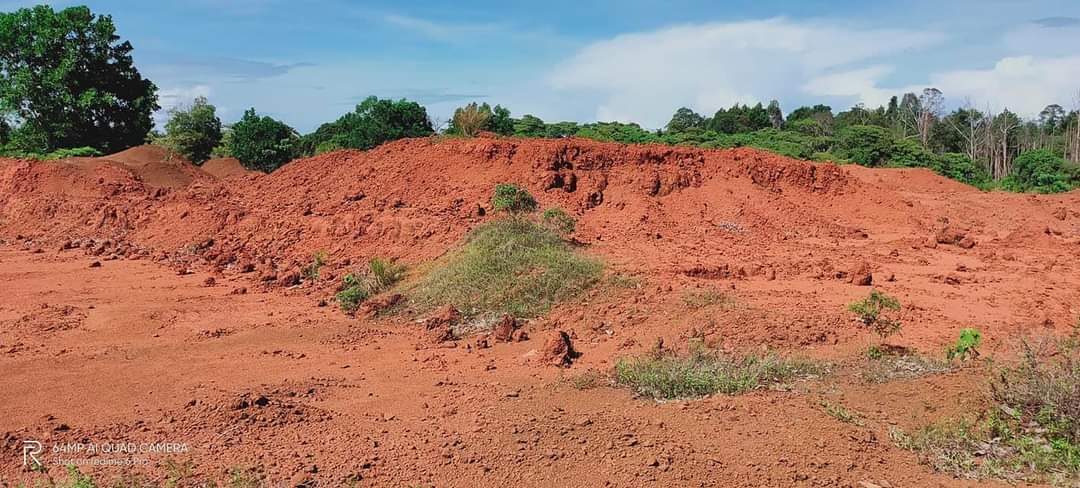 Tanah Pertanian Sungai Karang Kuantan - photo 7