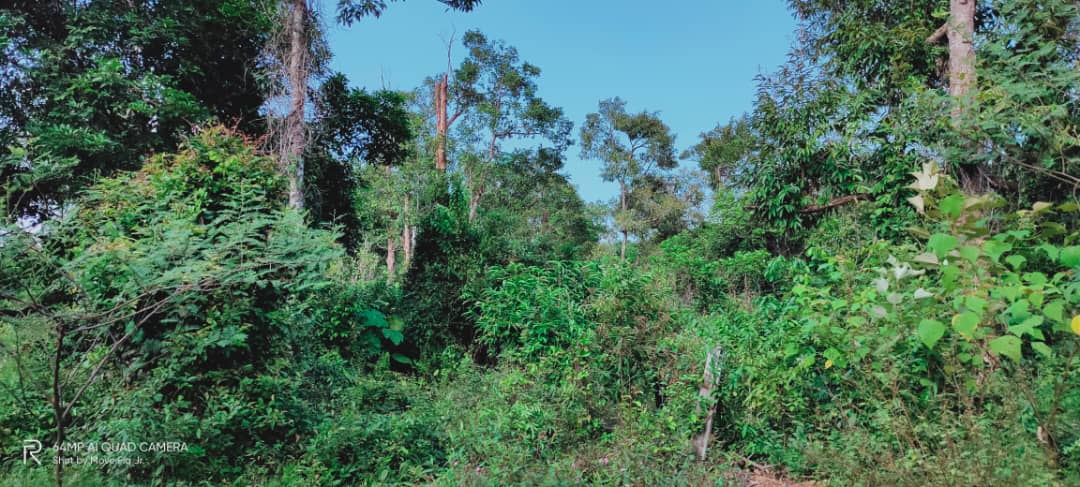 Tanah Pertanian Beserah Kuantan