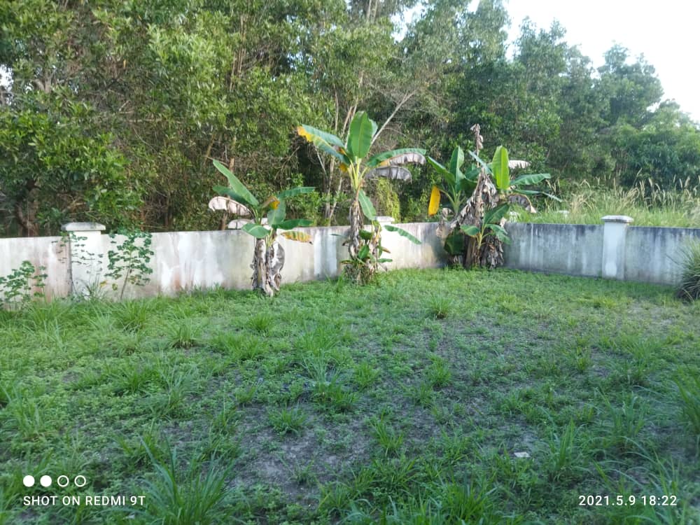 Semi-D Bukit Kuang Kemaman - photo 3