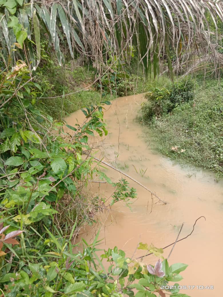 Tanah Pertanian Temerloh Pahang - photo 7