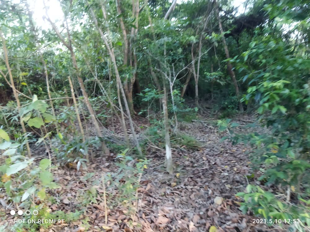 Tanah Bangunan Lot Banglo Kampung Tempurung Binjai - photo 3