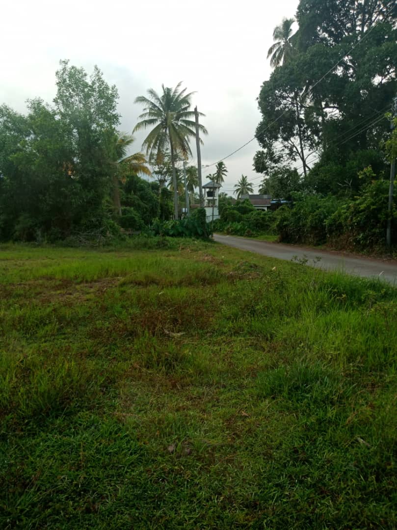 Tanah Bangunan Gong Badak Kuala Nerus Terengganu - photo 2