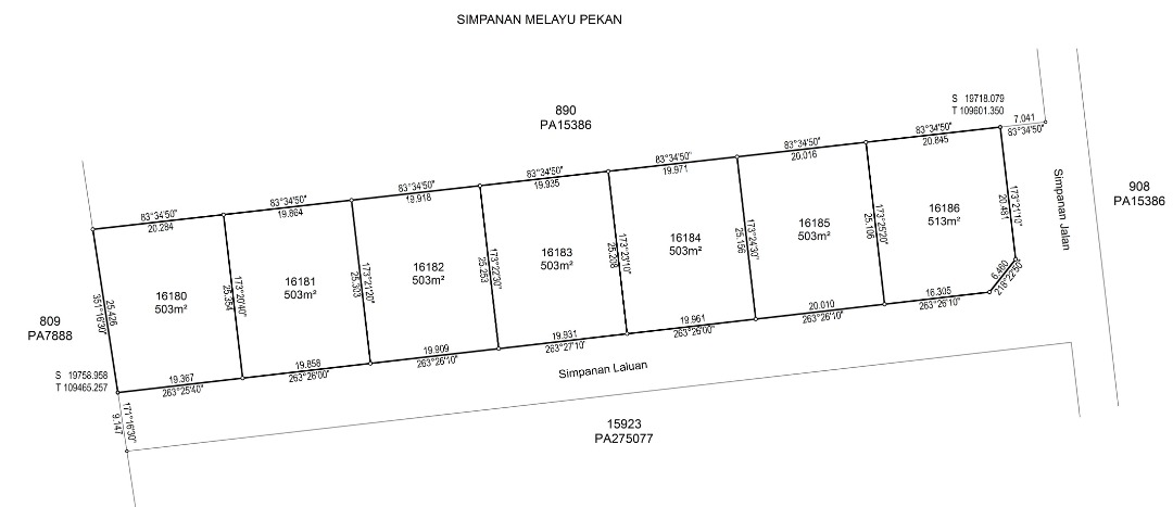 Tanah Bangunan Jalan Tegak Kuala Pahang Pekan - photo 3