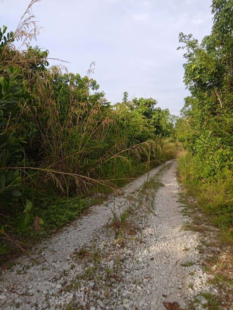 Tanah Lot Banglo Cendering Kuantan MURAH - photo 2