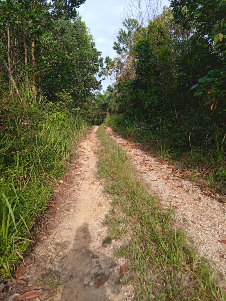 Tanah Lot Banglo Cendering Kuantan MURAH - photo 3