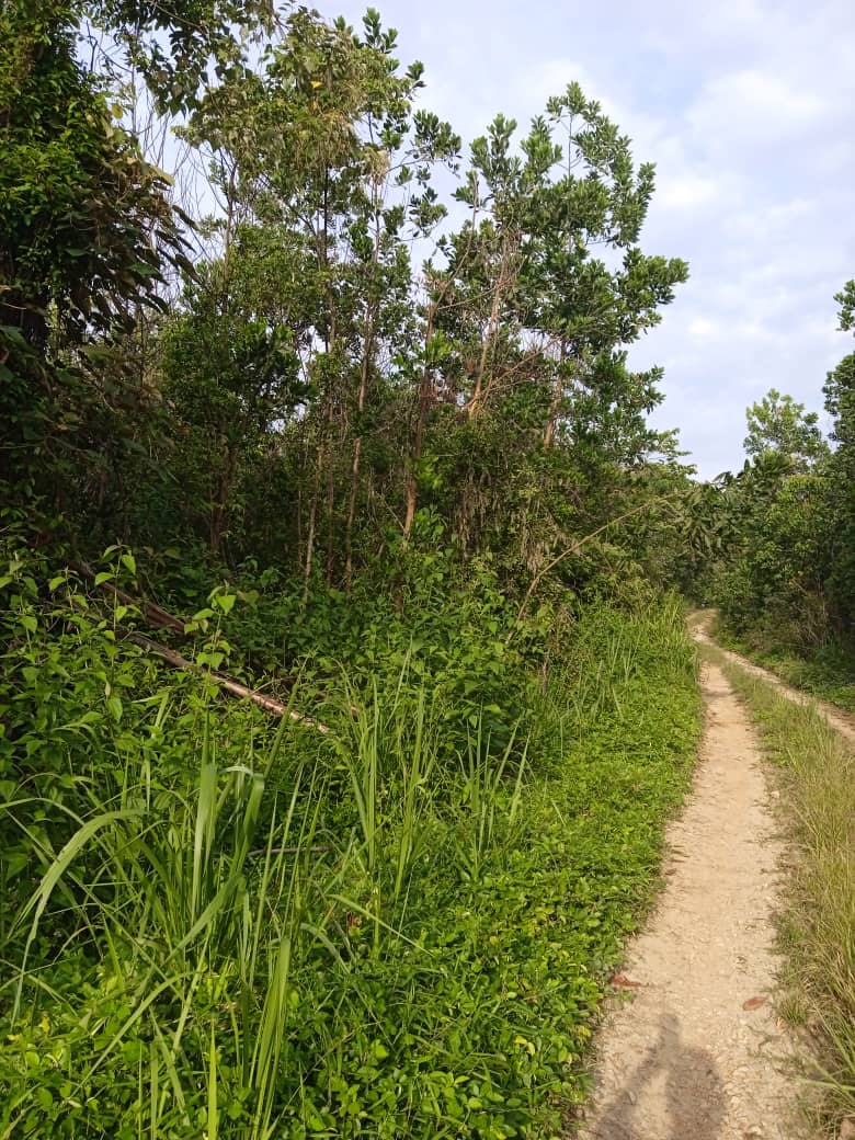 Tanah Lot Banglo Cendering Kuantan MURAH - photo 5