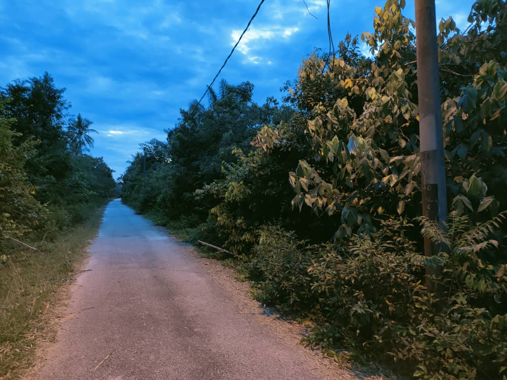 Tanah Pertanian Kampung Semangat Kuantan MURAH