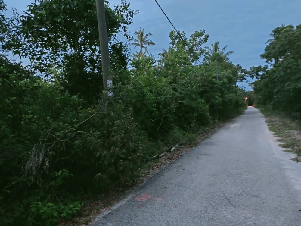 Tanah Pertanian Kampung Semangat Kuantan MURAH - photo 3