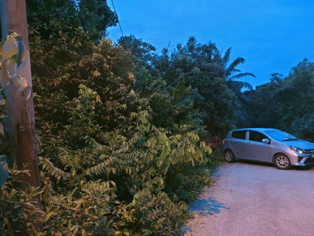 Tanah Pertanian Kampung Semangat Kuantan MURAH - photo 4