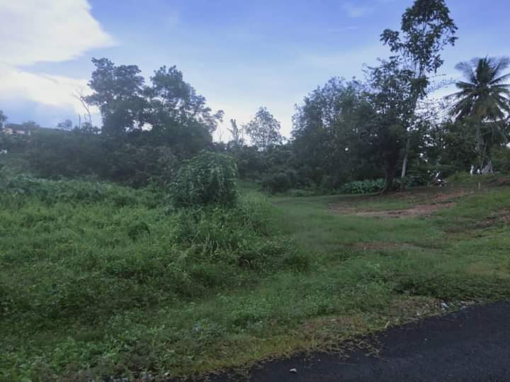 Tanah Pertanian Taman Temerloh Jaya MURAH